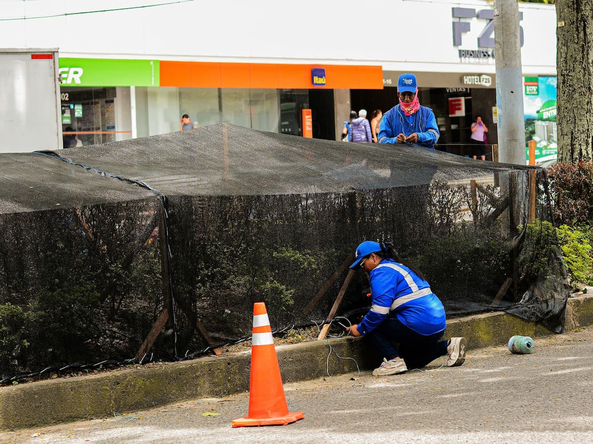 ¡El colmo! Se robaron la malla protectora de los jardines de la carrera Quinta de Ibagué