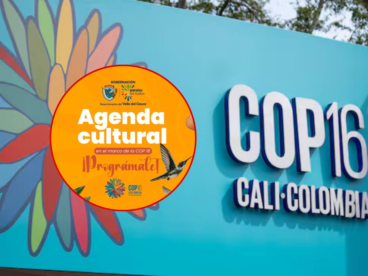 Descubra la agenda cultural de la COP16 en Cali