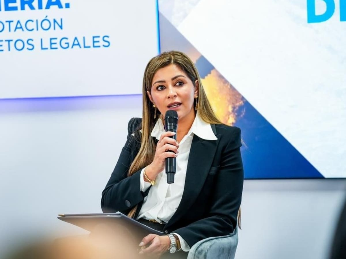 Para grupos armados es más rentable la minería ilegal que el narcotráfico: gobernadora del Tolima