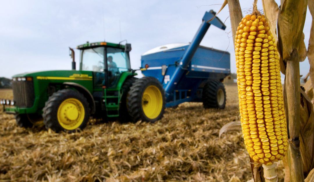 Soya. Cosecha Puertto Lopez