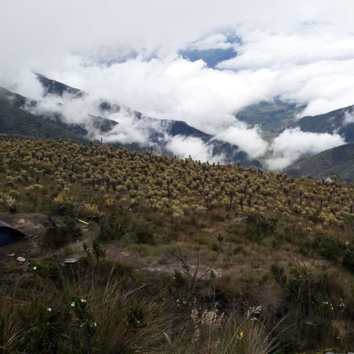 Corpourabá extendió un año más la restricción del ingreso al páramo del Sol en Urrao, Antioquia