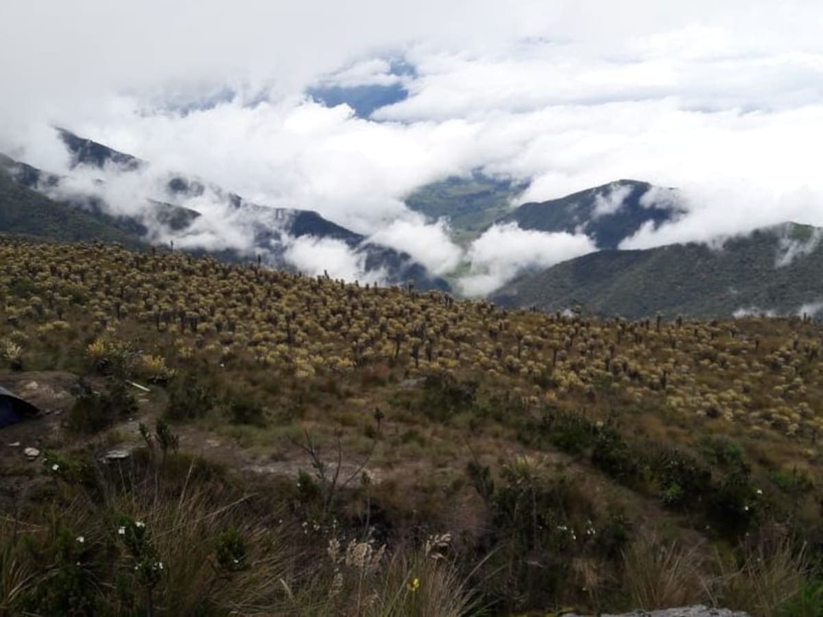 Corpourabá extendió un año más la restricción del ingreso al páramo del Sol en Urrao, Antioquia
