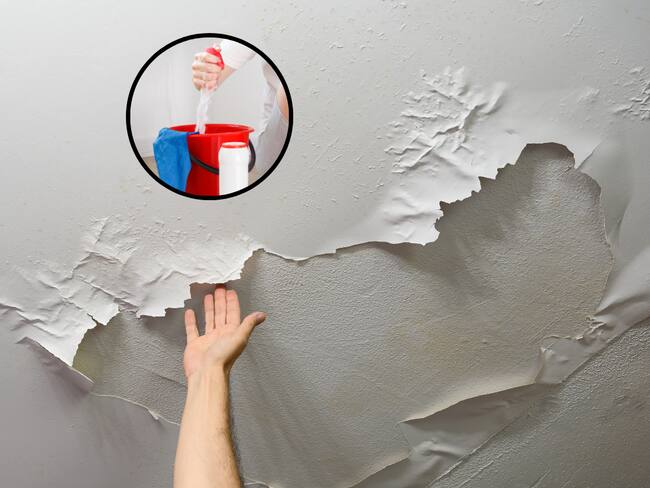 Cómo quitar el moho y las manchas de las paredes sin dañar la