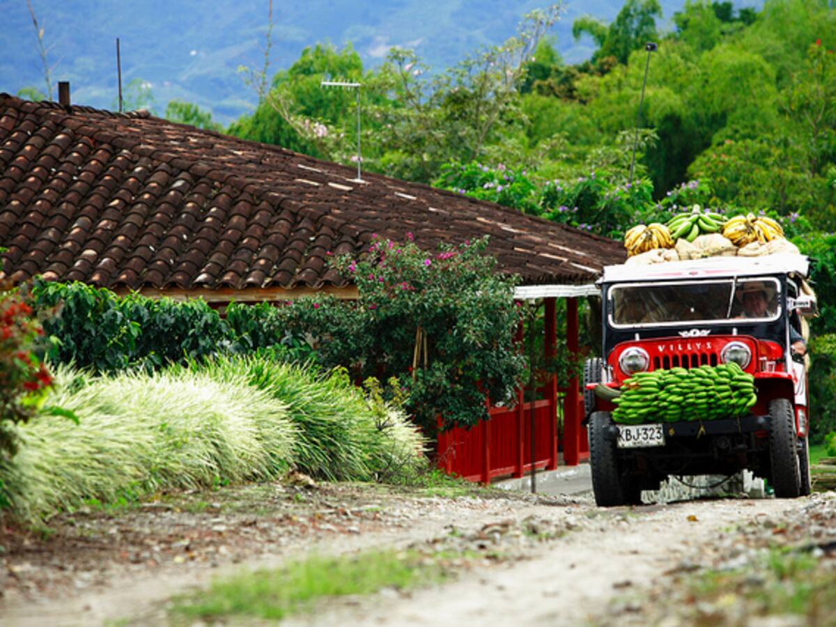 ¿Cómo avanza el proyecto de ley que busca proteger el paisaje cultural cafetero?