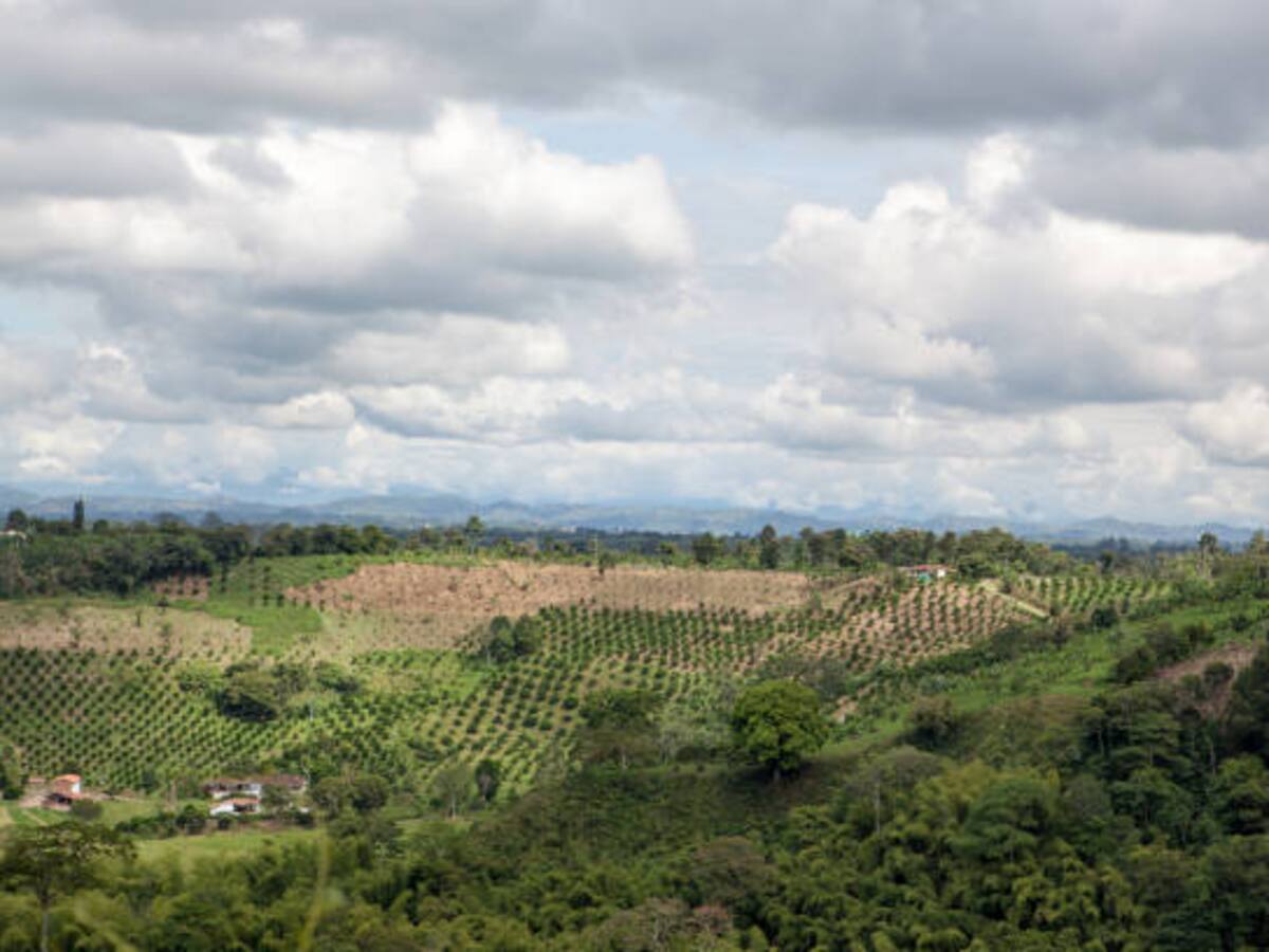 Más de 70 niños de la Sierra Nevada se intoxicaron tras ingerir alimento en un colegio