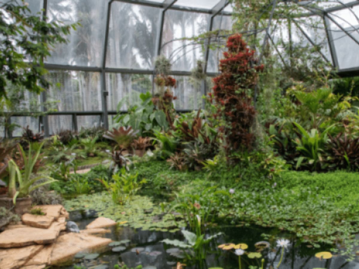Bogotá y Madrid fortalecen cooperación científica y cultural desde sus jardines botánicos