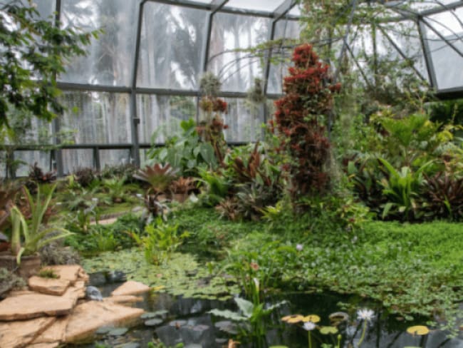 Bogotá y Madrid fortalecen cooperación científica y cultural desde sus jardines botánicos