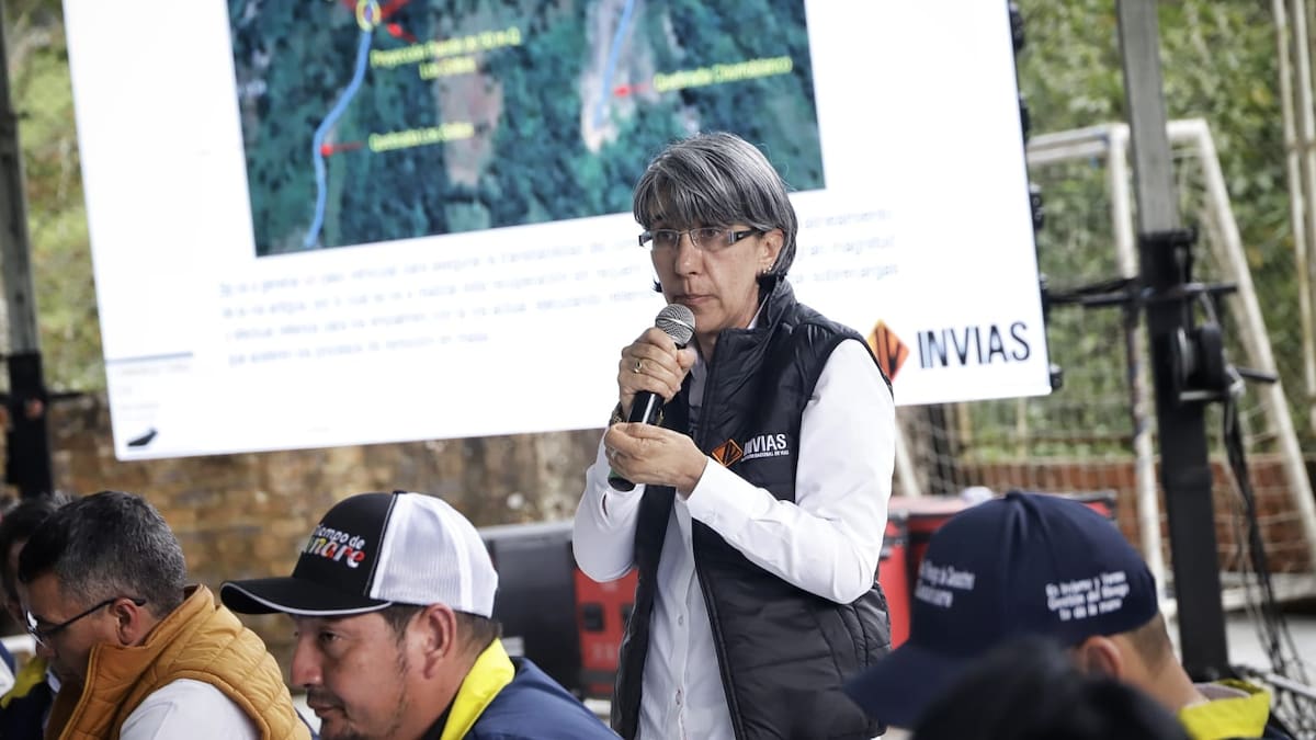 Invías adelanta estudios para vía provisional tras el colapso del puente Los Grillos
