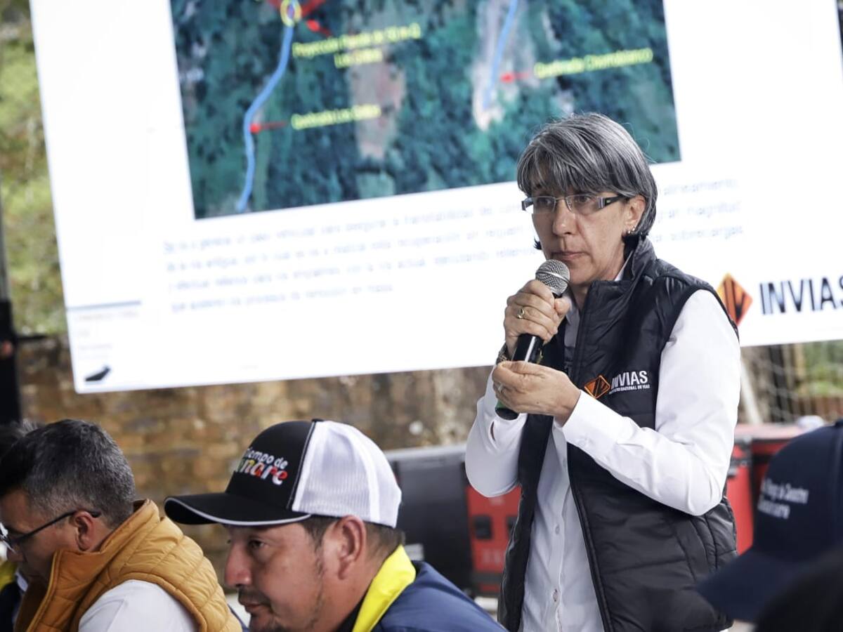 Mercedes Gómez habría presentado su carta de renuncia como directora del Invías