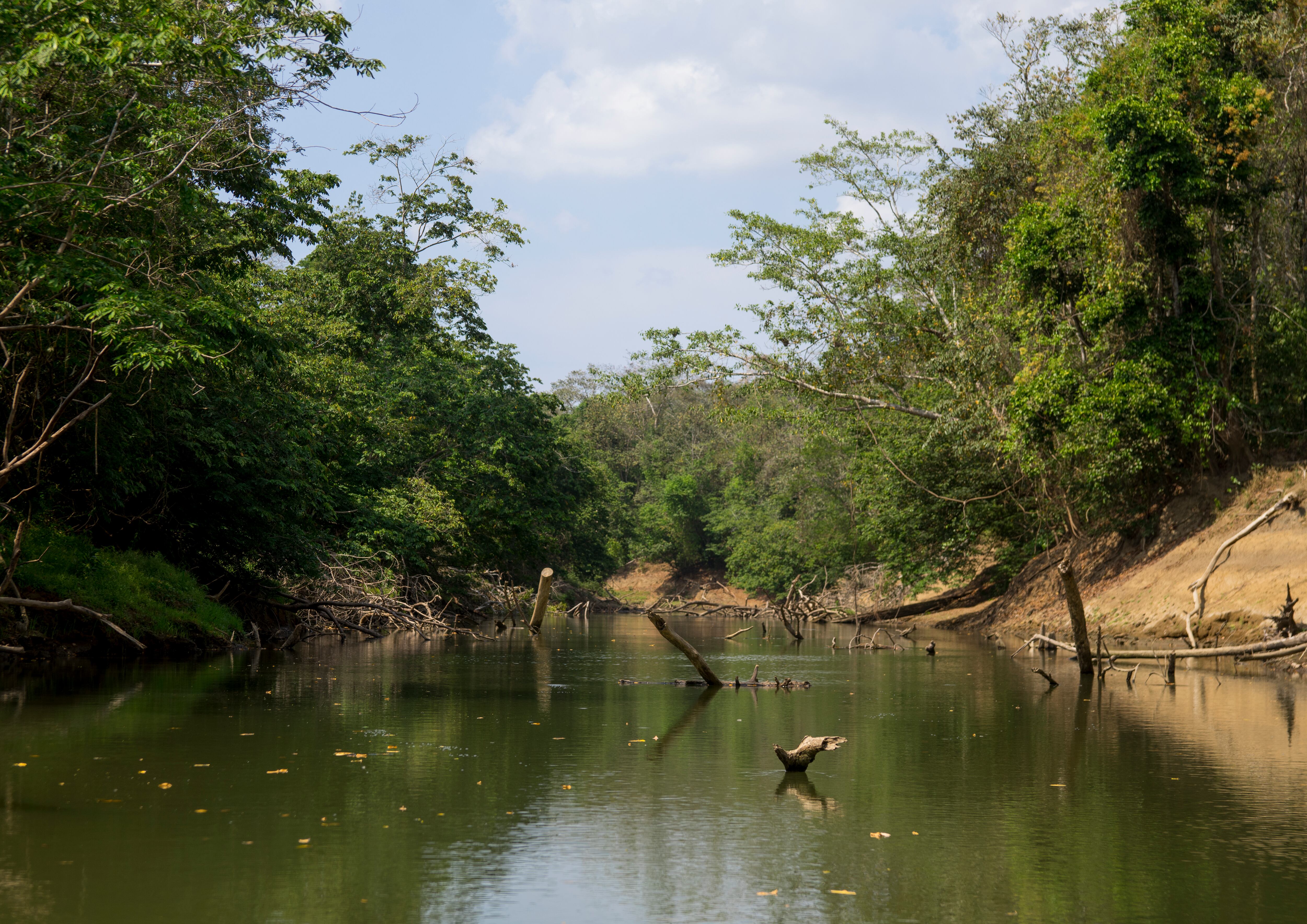 Tapón del Darién, límite fronterizo entre Colombia y Panamá (Foto vía Getty Images)
