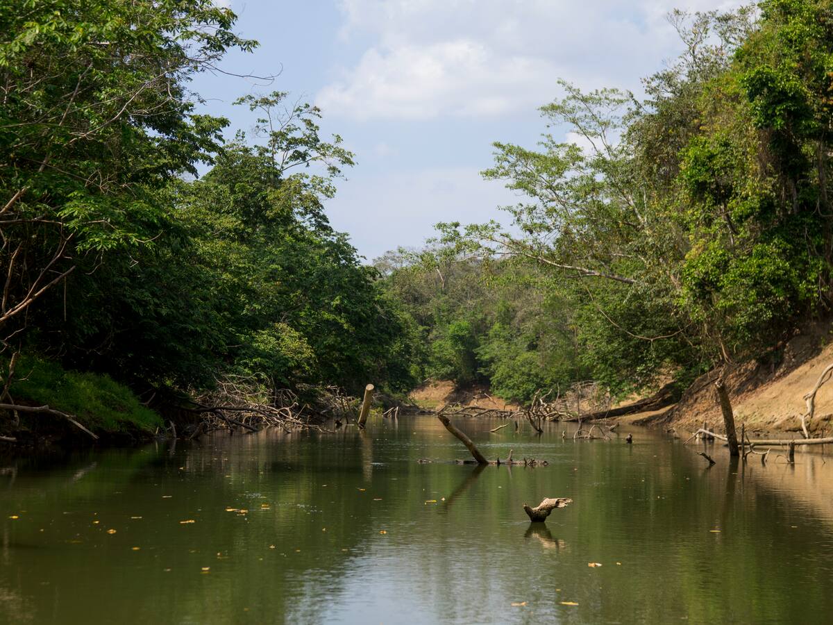 ¿En qué parte de Colombia queda el Tapón del Darién?