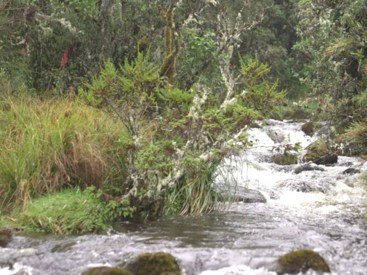 Conozca la ingeniería natural de Chingaza