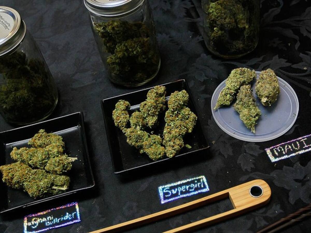 Son 40 mil personas que están trabajando con la industria del cannabis: Brian Vicente