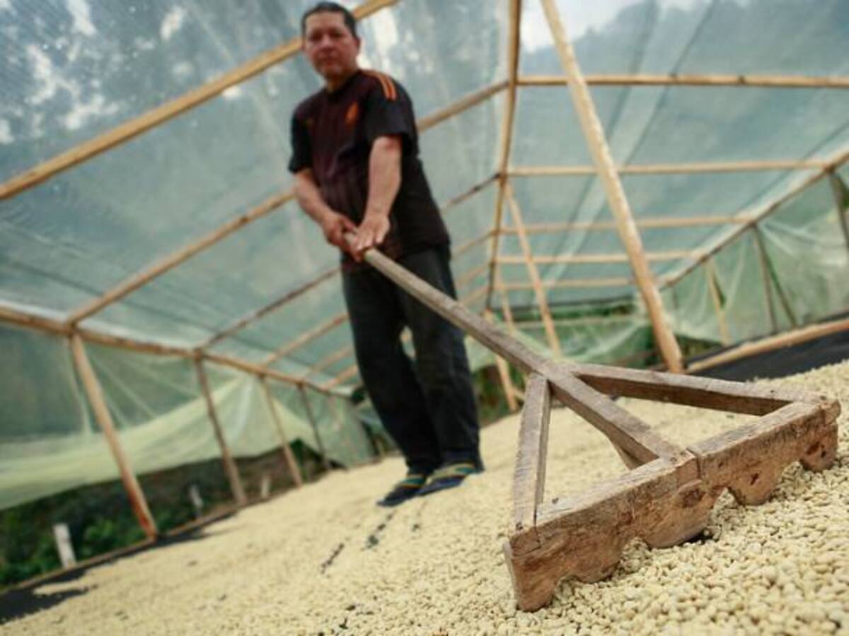 Carga de café en Colombia se paga por debajo de los $700.000