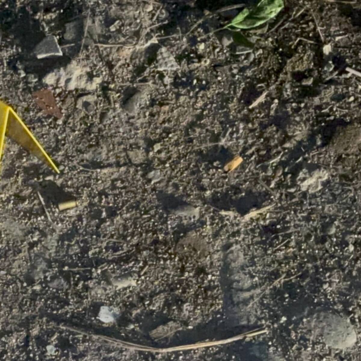 Comerciantes de Barranquilla piden celeridad en caso de tendero asesinado