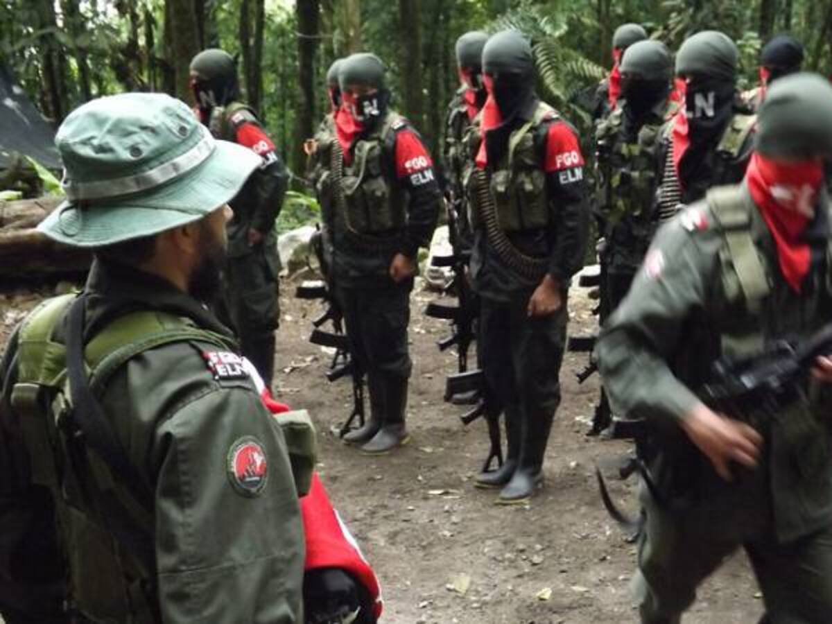 Estamos preparados para la fase pública de los diálogos de paz: Eln