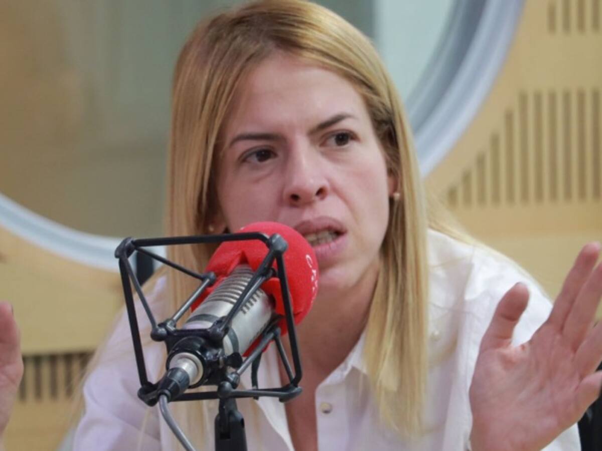 “No hay planes con persistencia en el tiempo”: Lariza Pizano