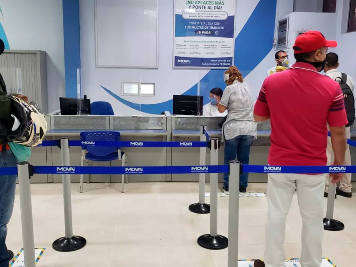 Pico y cédula optativo para la renovación de la licencia de conducción