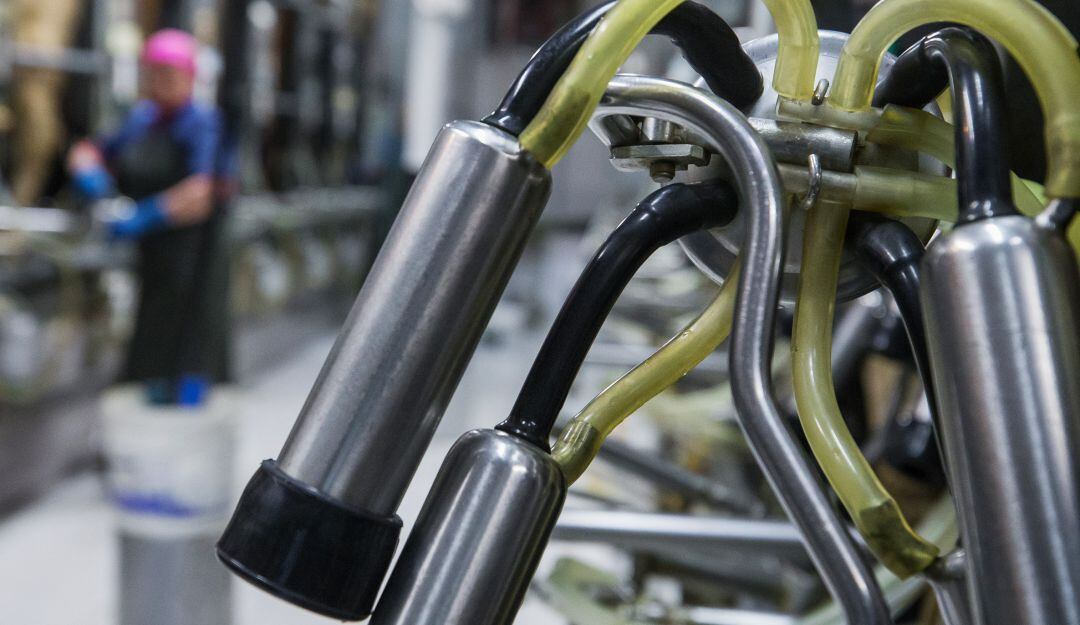 Máquina de ordeño.