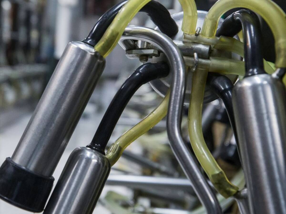 Exportar, el gran reto de los productores de leche de Colombia