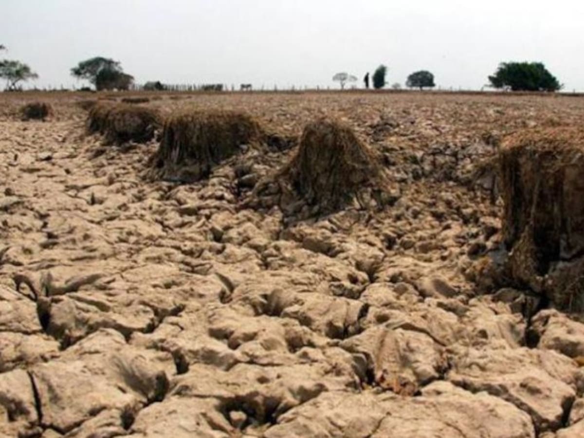 Las plagas y el cambio climático amenazan el agro