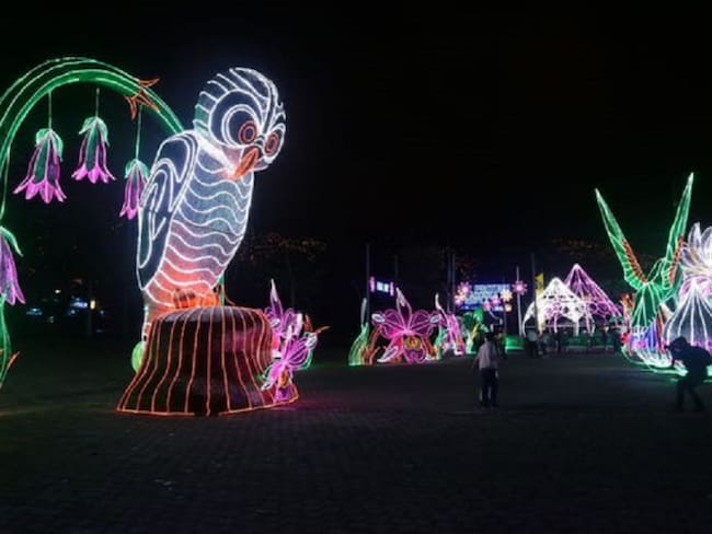 Alumbrado navideño de Medellín entre los 25 más impresionantes del planeta
