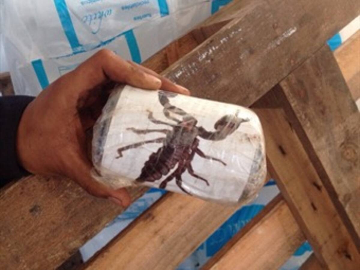 Antinarcóticos y Armada decomisaron una tonelada de cocaína en La Guajira