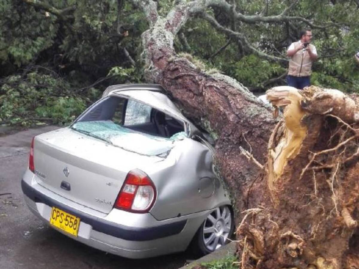 Aguacero en Cali causó caídas de techos, árboles e inundaciones