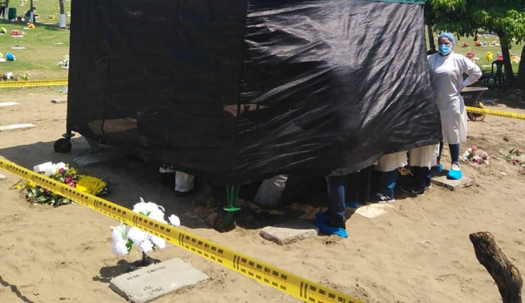 Proceso de reconocimiento