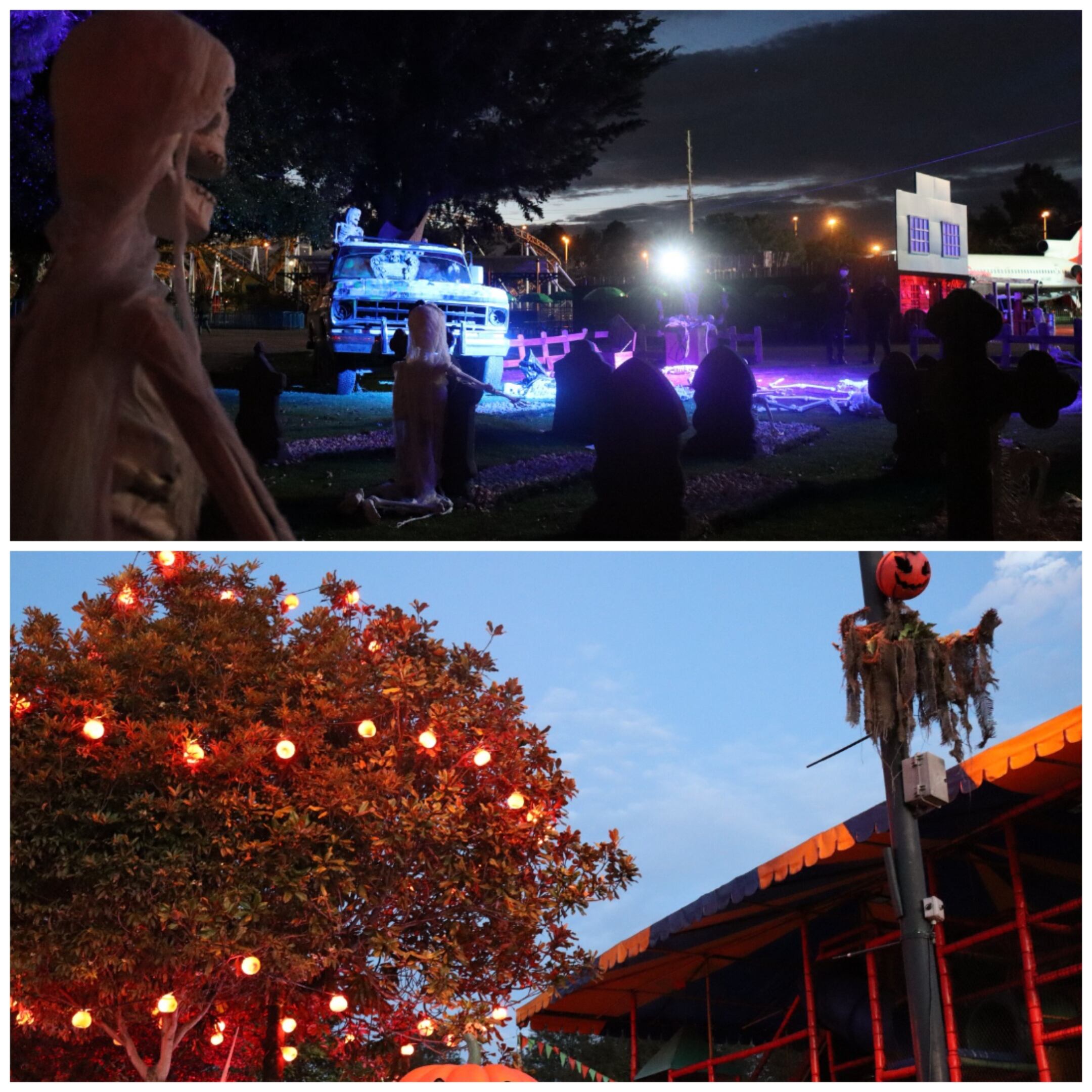 Cortesía: Festival del Terror de Salitre Mágico