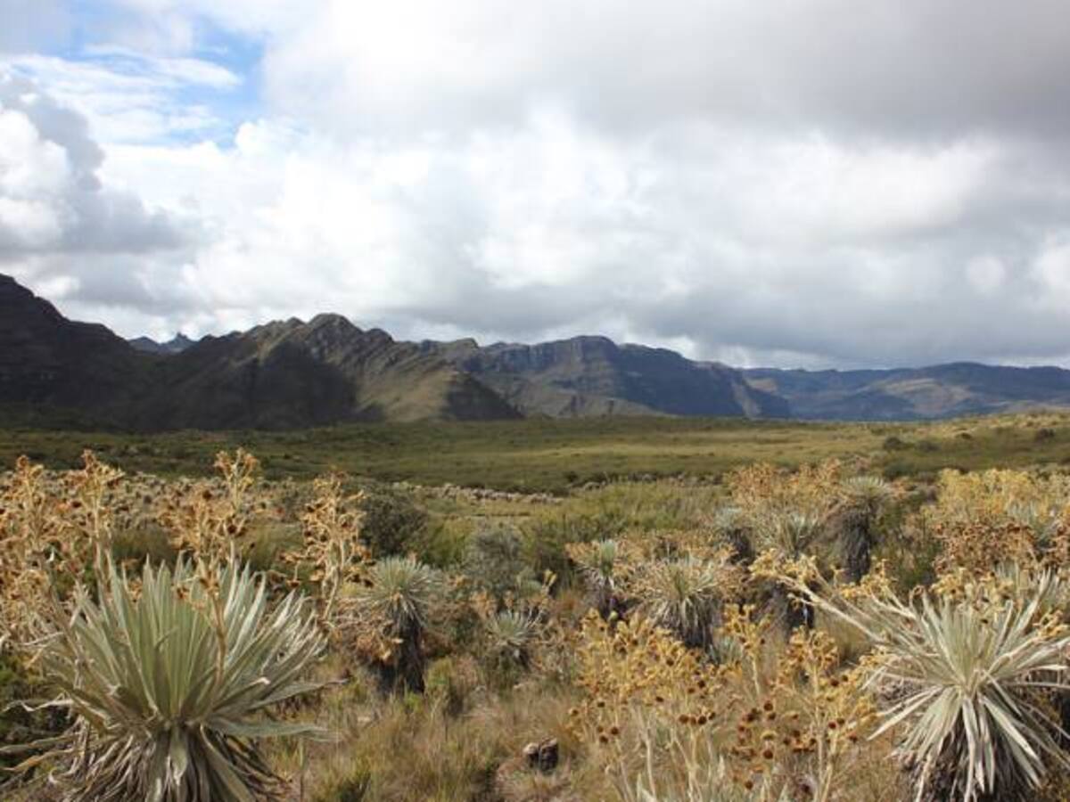 Gobierno colombiano avanza en la delimitación de páramos