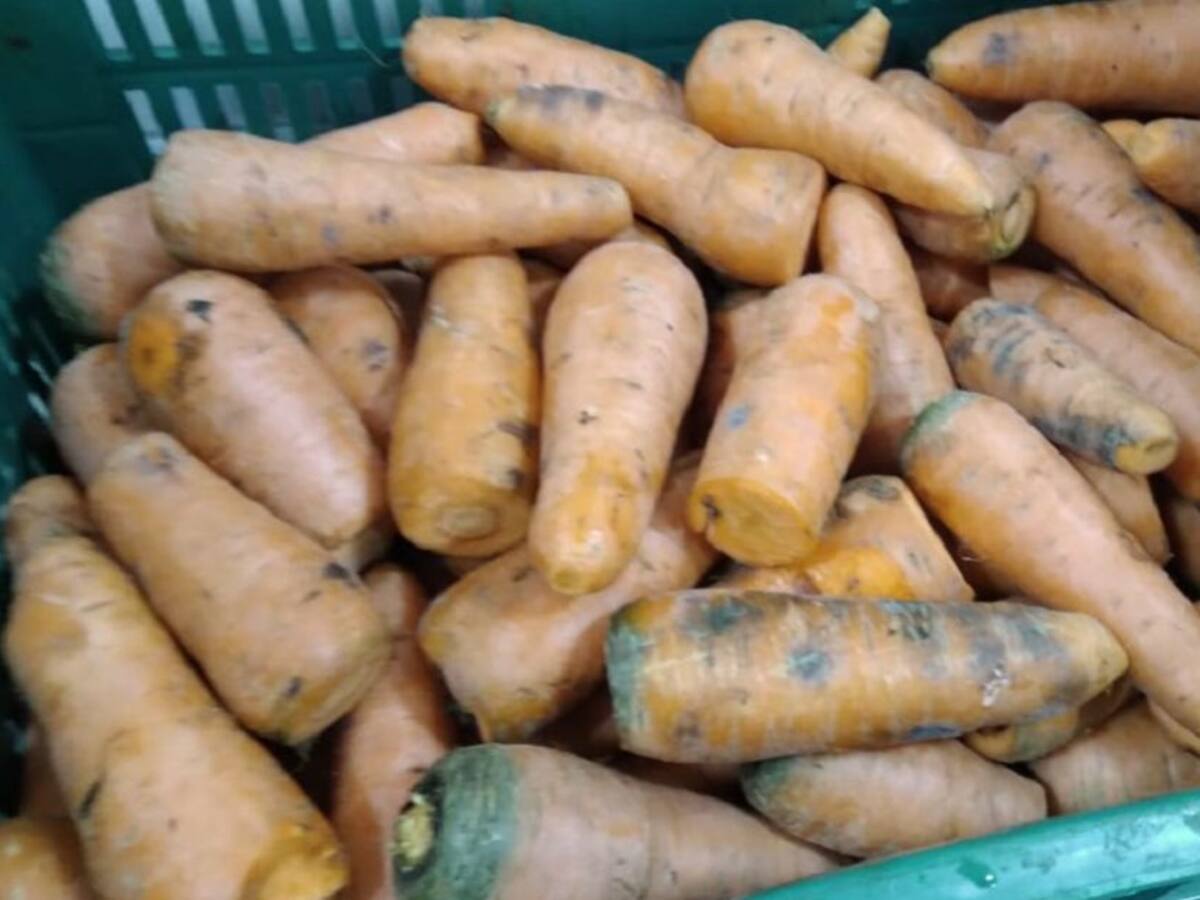 30.000 Estudiantes afectados por suspensión del PAE en el Quindío