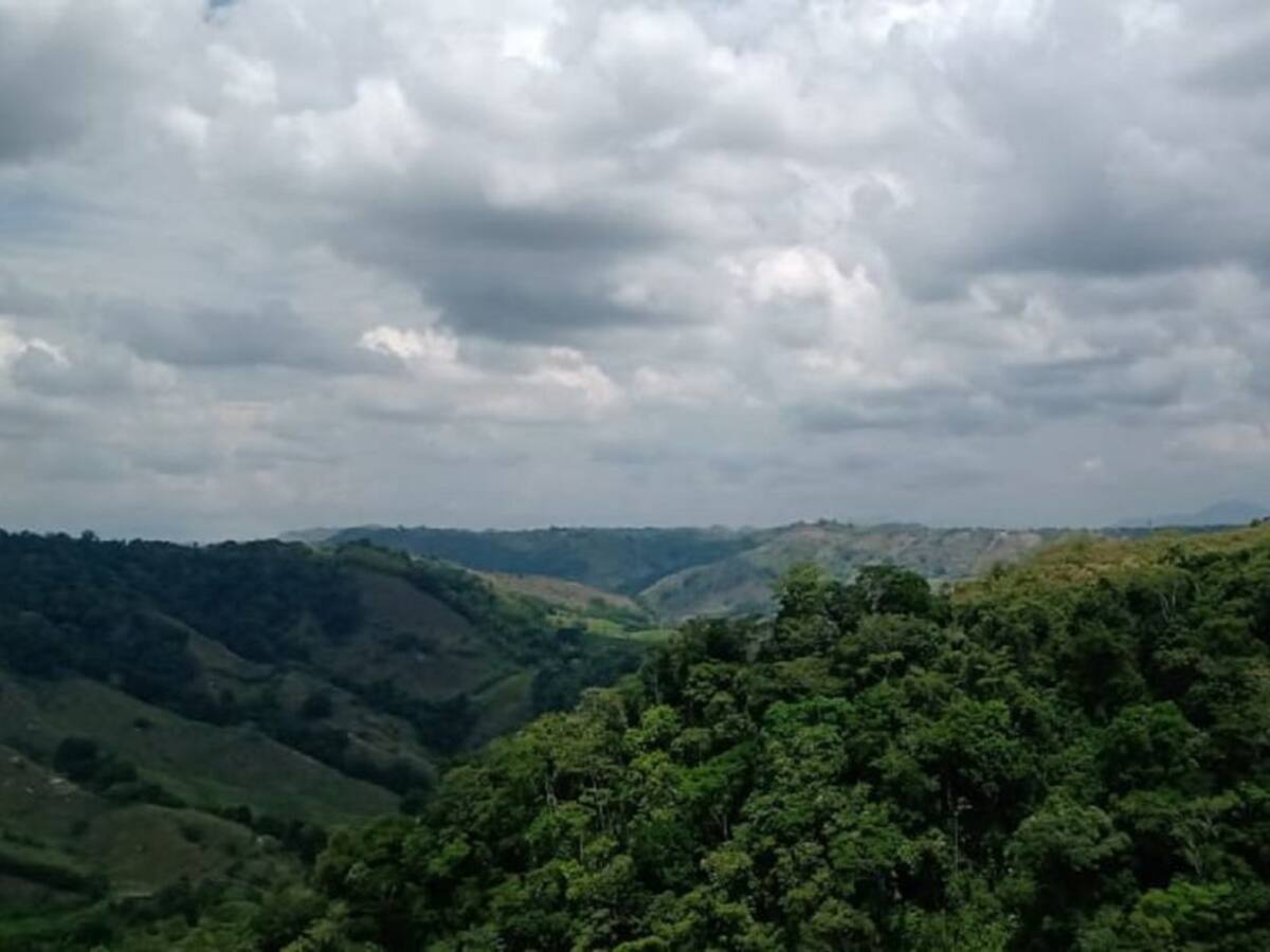 Lunes 1 de marzo, las noticias más importantes de Armenia y el Quindío