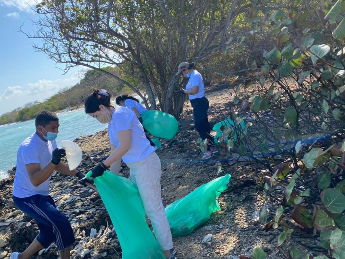 En Cartagena, realizan limpieza en playas de Barú