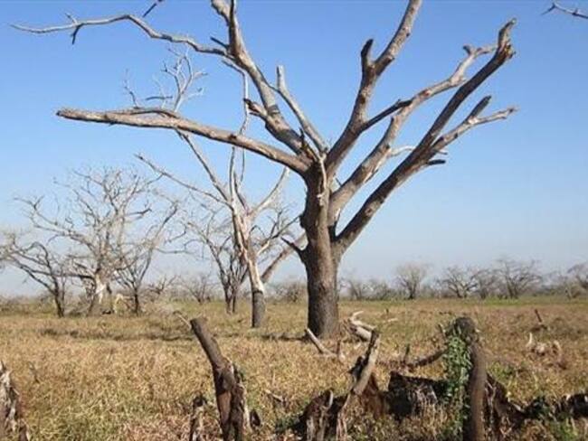 Gobierno estudia plan de choque para hacer frente a la sequía