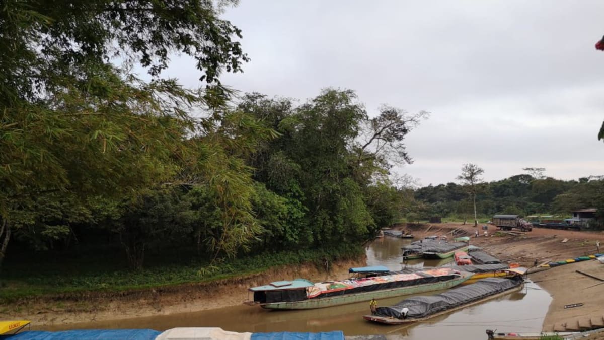 Confinamiento en Miraflores: comunidades desabastecidas por presión de disidencias FARC de ‘Calarcá’