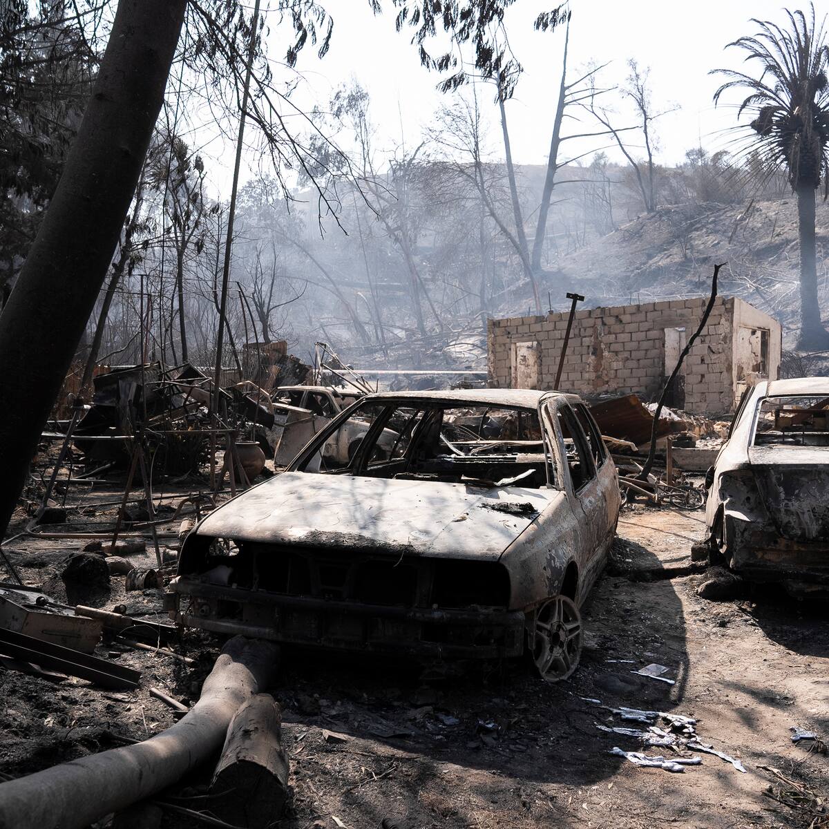 Festival de Viña del Mar suspende su gala inaugural por los incendios