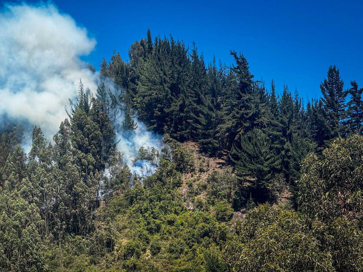 Incendio forestal entre Chía y Tabio pone en alerta a autoridades y comunidad