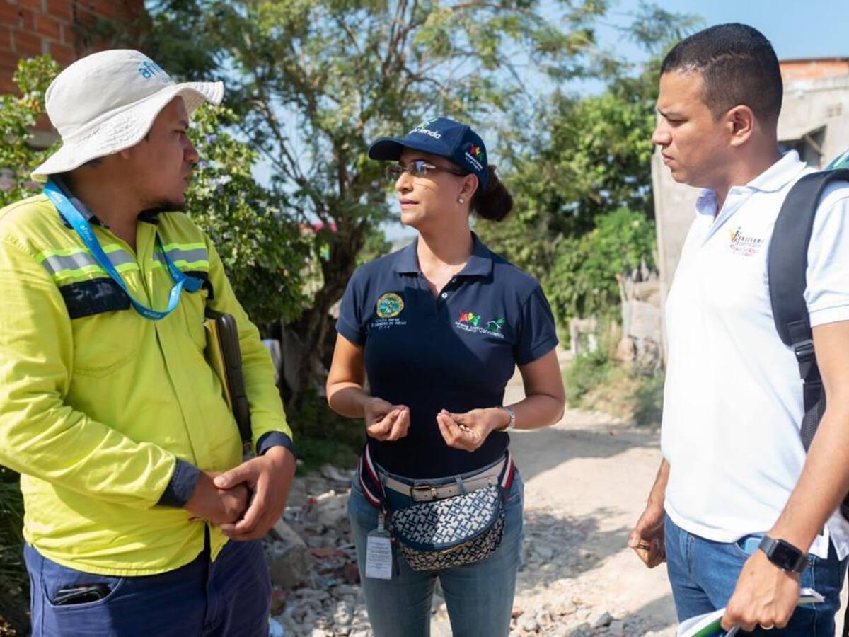Estudios determinarán el riesgo de infraestructura eléctrica en Nelson Mandela