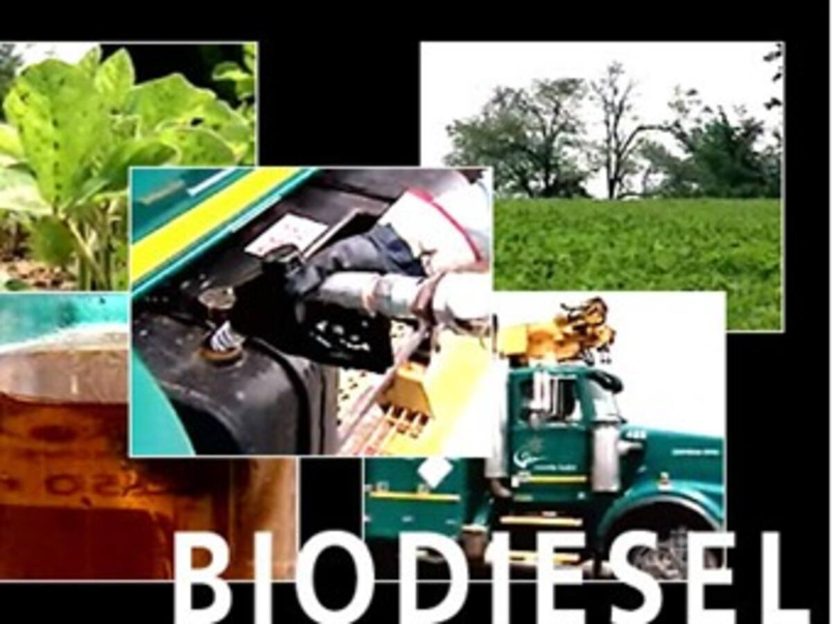 Comienza la distribución de biodiesel en Bogotá