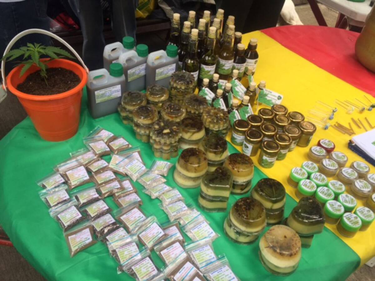 En el Día Mundial por la Celebración de la Marihuana, algunas colectividades, consumidores medicinales y recreativos de la planta realizan una marcha pacífica.