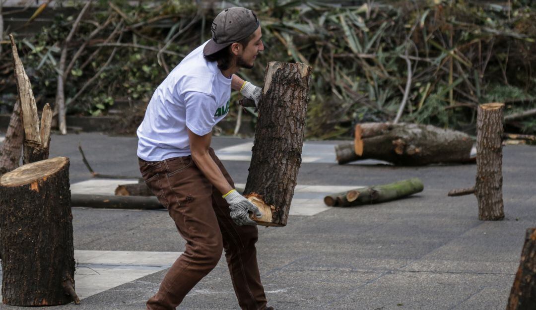 Por el Día de la Tierra, radican proyecto para enfrentar la deforestación