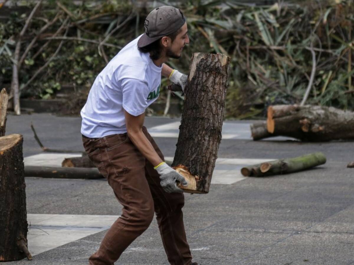 Por el Día de la Tierra, radican proyecto para enfrentar la deforestación