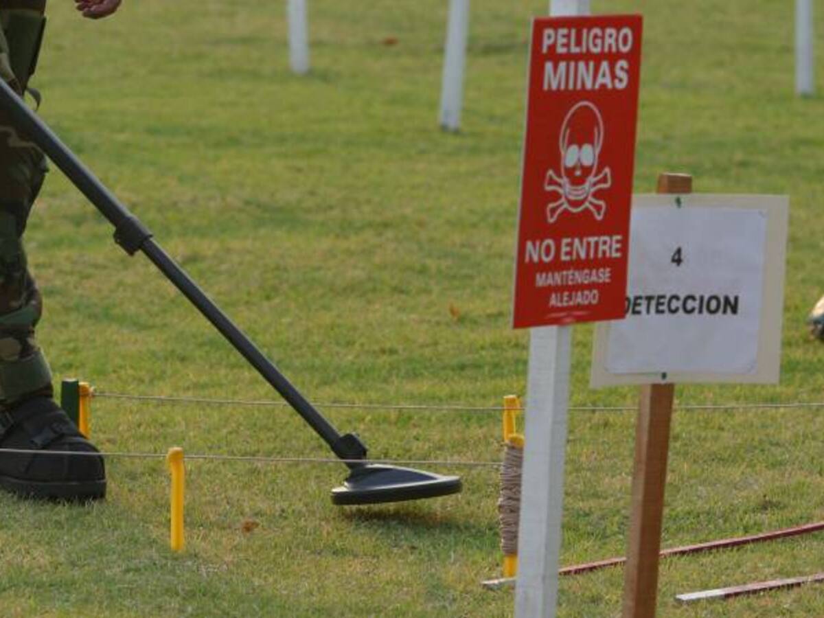 En septiembre 1.500 militares adelantarán desminado humanitario en el sur del país