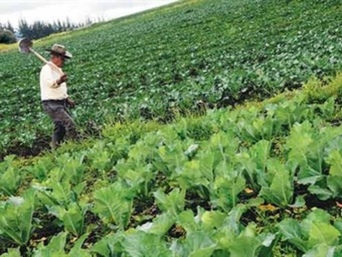 Listas las propuestas del agro antioqueño para el Pacto Nacional Agropecuario