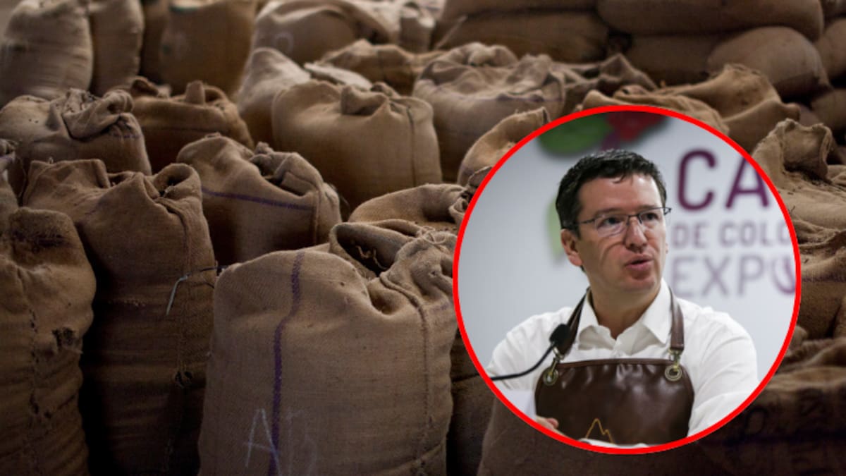 Cafeteros buscan recuperar la economía del país, con el aumento de exportaciones de café: Bahamón