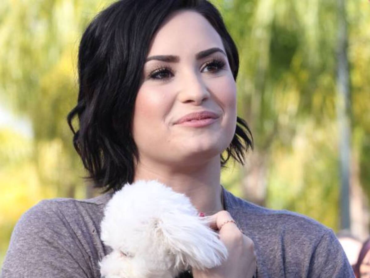 Los famosos que dijeron adiós a sus mascotas en 2015