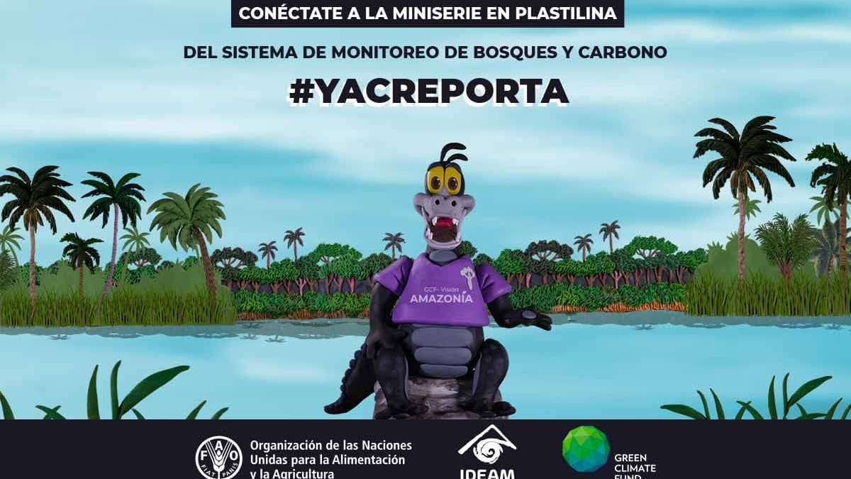 ‘Liga de monitoreo FAO – IDEAM’, la miniserie que enseña a cuidar la biodiversidad