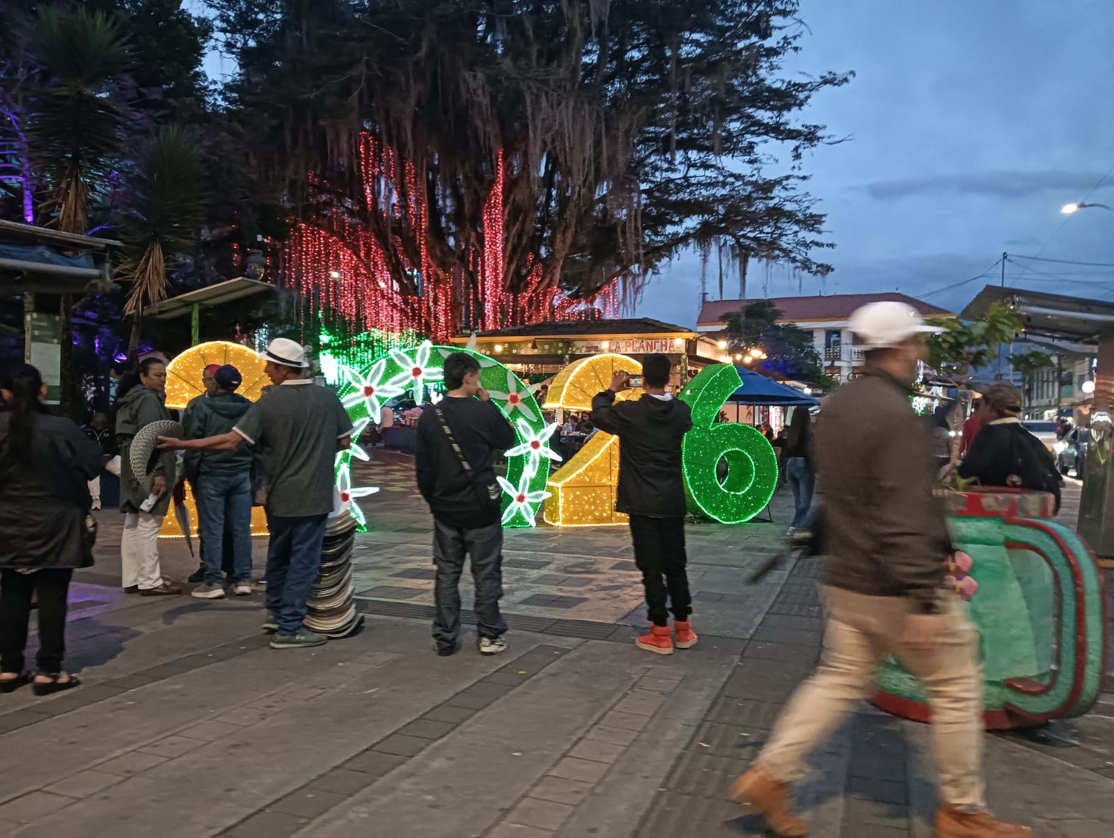 Alumbrado navideño en el parque principal del municipios de Circasia, Quindío. Foto: Adrián Trejos