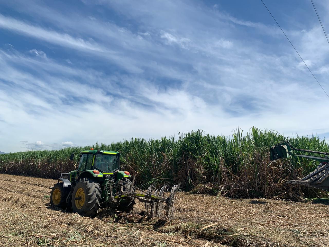 Asocaña hizo un llamado al Gobierno nacional para que se adopten medidas urgentes que permitan proteger la producción nacional y el empleo en las regiones. (Foto: Caracol Radio).